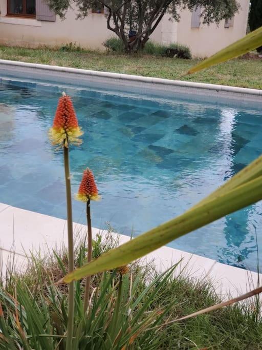 Reve En Luberon Vila Lauris Exterior foto