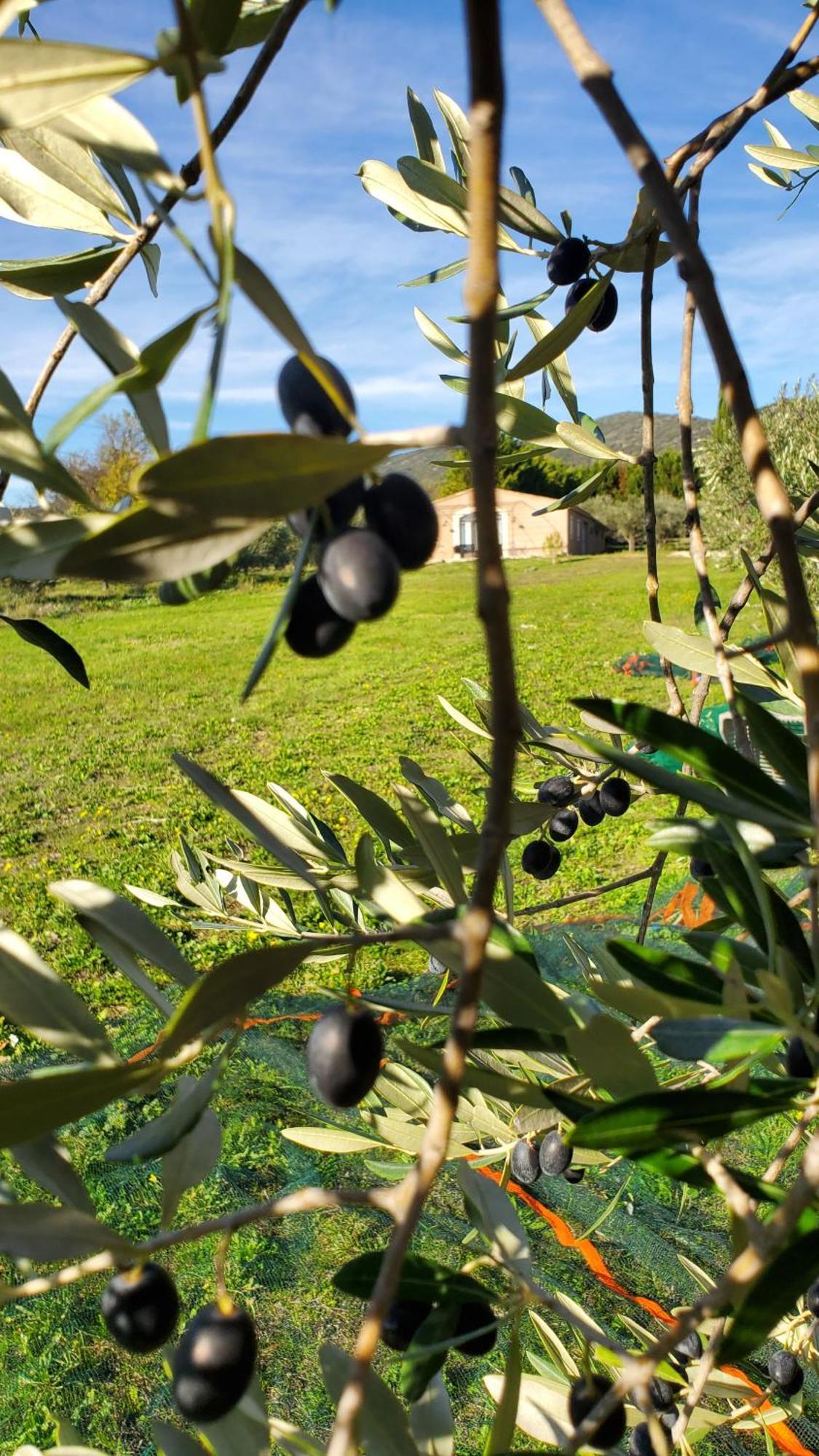 Reve En Luberon Vila Lauris Exterior foto