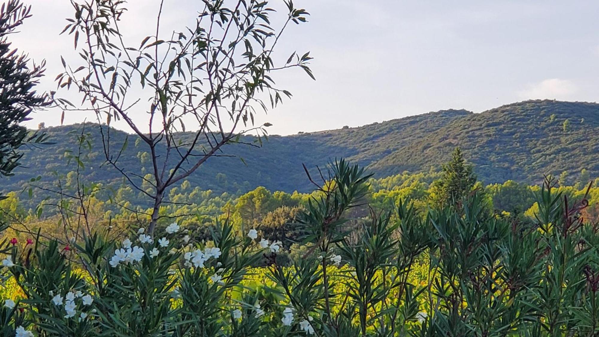 Reve En Luberon Vila Lauris Exterior foto